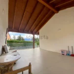 Miniatura 11