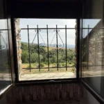 Miniatura 15