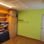 Miniatura 13