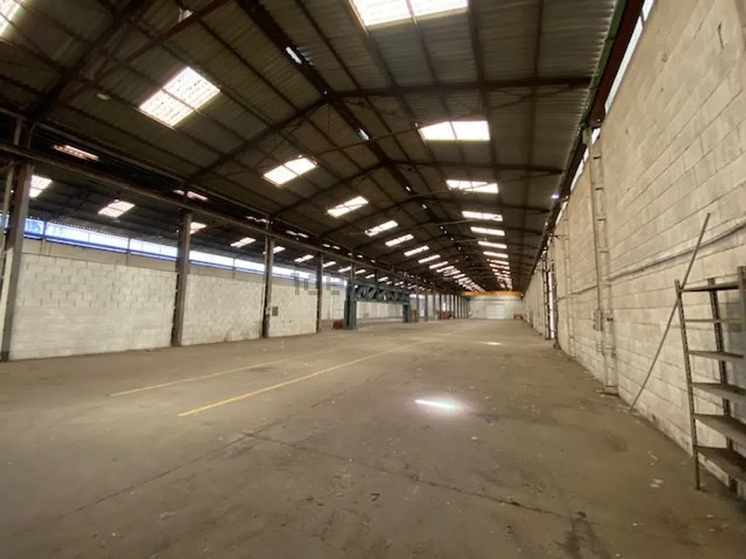 Nave industrial de 4.500 m2 en alquiler en Bembibre - El Bierzo imagen 6