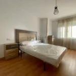 Miniatura 13